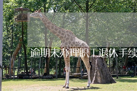 逾期未办理职工退休手续 逾期未办理职工退休手续