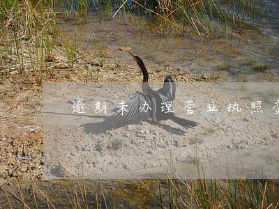 逾期未办理营业执照变更案 逾期未办理营业执照变更案