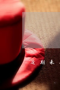 逾期未办理解冻手续 逾期未办理解冻手续