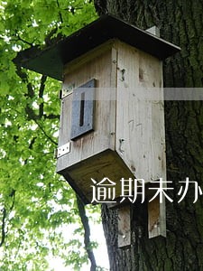 逾期未办理跨区域涉税事项