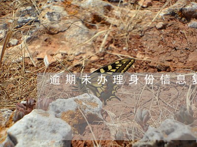 逾期未办理身份信息复核 逾期未办理身份信息复核