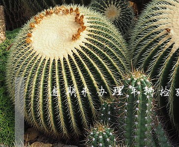 逾期未办理车辆检验 逾期未办理车辆检验