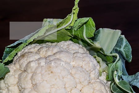 逾期未办理过户 逾期未办理过户