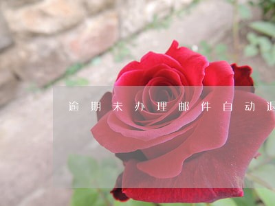 逾期未办理邮件自动退运 逾期未办理邮件自动退运