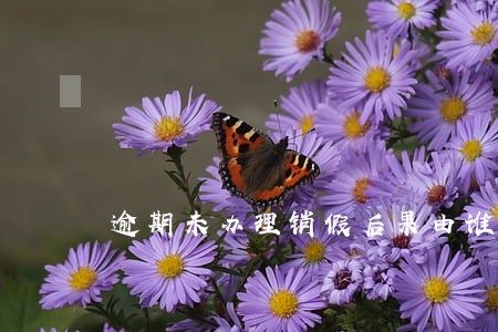 逾期未办理销假后果由谁负责 逾期未办理销假后果由谁负责