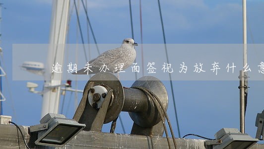 逾期未办理面签视为放弃什么意思 逾期未办理面签视为放弃什么意思