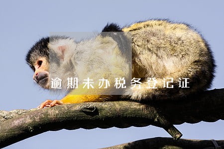 逾期未办税务登记证 逾期未办税务登记证