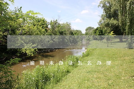 逾期未办证怎么办理 逾期未办证怎么办理