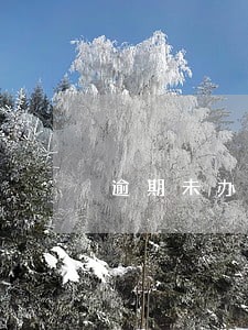 逾期未办证违约金 逾期未办证违约金