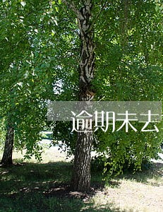 逾期未去拿房需要缴纳违约金 逾期未去拿房需要缴纳违约金