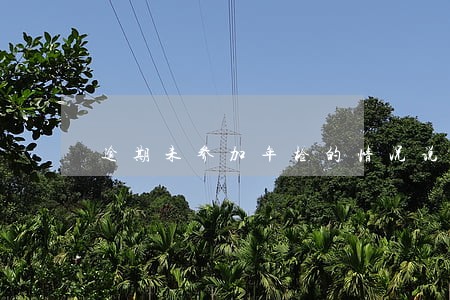 逾期未参加年检的情况说明