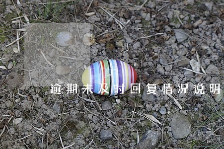 逾期未及时回复情况说明 逾期未及时回复情况说明