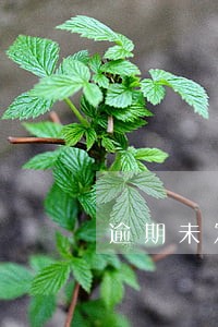 逾期未发放赔偿金 逾期未发放赔偿金