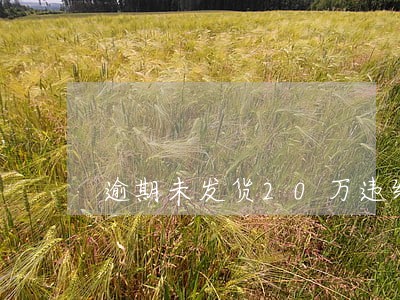 逾期未发货20万违约金 逾期未发货20万违约金