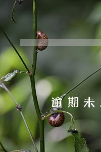 逾期未发货可以投诉吗