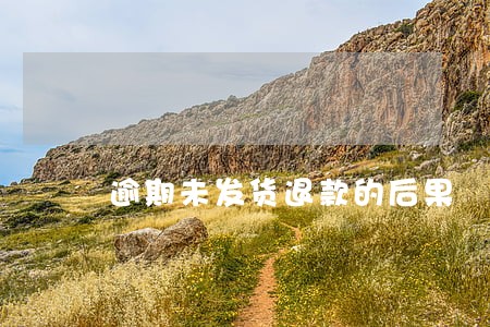 逾期未发货退款的后果 逾期未发货退款的后果