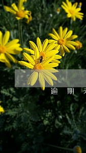 逾期未取得大产权证的违约金 逾期未取得大产权证的违约金