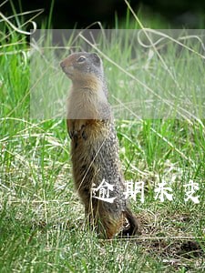 逾期未变更注册信息的说明 逾期未变更注册信息的说明
