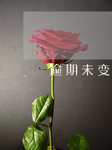 逾期未变更税务登记 逾期未变更税务登记