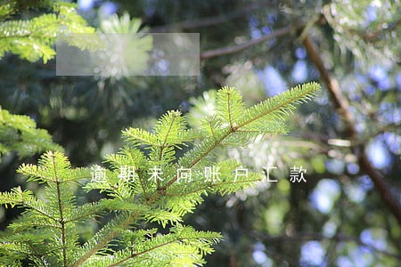 逾期未向账户汇款 逾期未向账户汇款