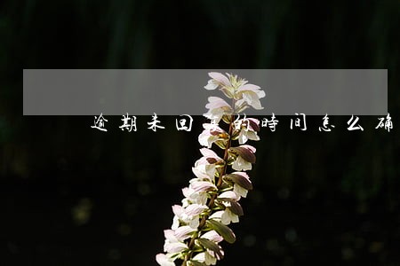 逾期未回复的时间怎么确定