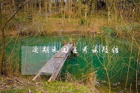 逾期未回复考试短信 逾期未回复考试短信