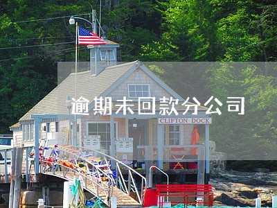 逾期未回款分公司 逾期未回款分公司