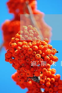 逾期未回款创投企业 逾期未回款创投企业