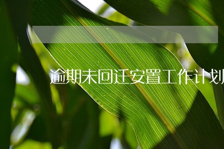 逾期未回迁安置工作计划 逾期未回迁安置工作计划