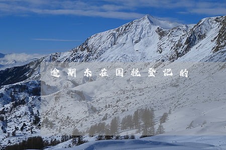 逾期未在国税登记的 逾期未在国税登记的