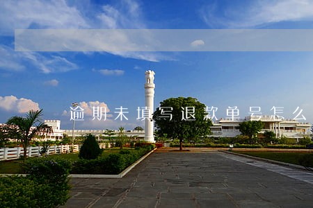 逾期未填写退款单号怎么办 逾期未填写退款单号怎么办