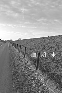 逾期未填写退货申请将关闭 逾期未填写退货申请将关闭