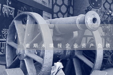 逾期未填报企业资产负债表 逾期未填报企业资产负债表