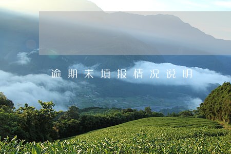 逾期未填报情况说明 逾期未填报情况说明