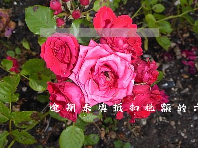逾期未填抵扣税额的六种情况 逾期未填抵扣税额的六种情况