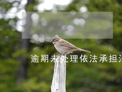 逾期未处理依法承担法律责任 逾期未处理依法承担法律责任