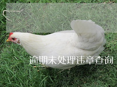 逾期未处理违章查询 逾期未处理违章查询