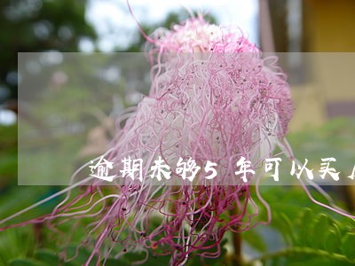 逾期未够5年可以买房吗 逾期未够5年可以买房吗