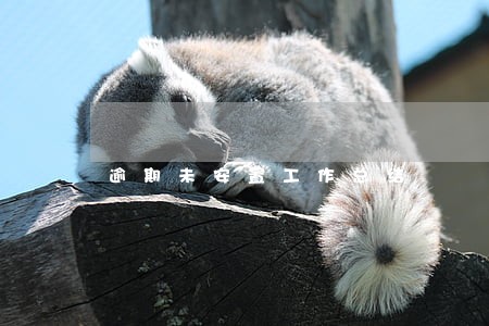 逾期未安置工作总结