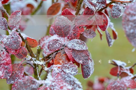 逾期未完工对公司有什么影响 逾期未完工对公司有什么影响