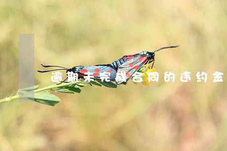 逾期未完成合同的违约金 逾期未完成合同的违约金