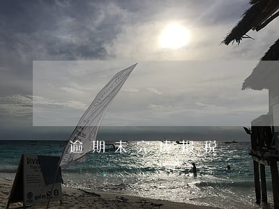 逾期未完成报税 逾期未完成报税