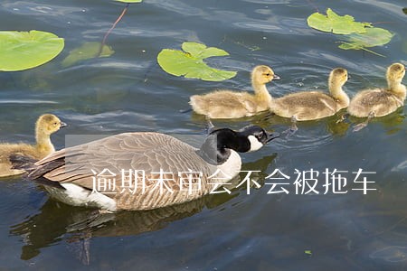 逾期未审会不会被拖车 逾期未审会不会被拖车