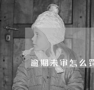 逾期未审怎么罚款多少 逾期未审怎么罚款多少