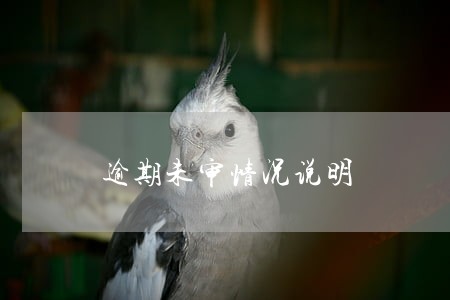 逾期未审情况说明 逾期未审情况说明