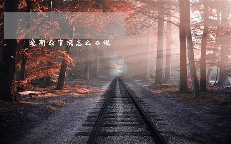 逾期未审核怎么办理 逾期未审核怎么办理