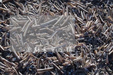 逾期未审注销 逾期未审注销