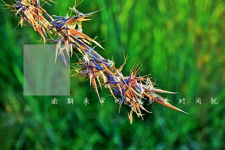 逾期未审的车多长时间就销户了 逾期未审的车多长时间就销户了