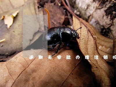 逾期未审能办理注销吗 逾期未审能办理注销吗