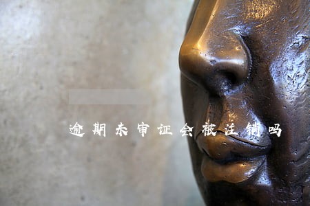 逾期未审证会被注销吗 逾期未审证会被注销吗